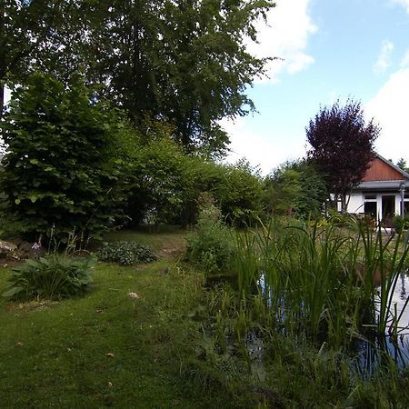 Ferienhaus Wildblick Schleiden Exteriér fotografie